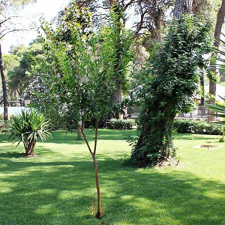 Il Melograno B&B Castellaneta Marina Eksteriør bilde
